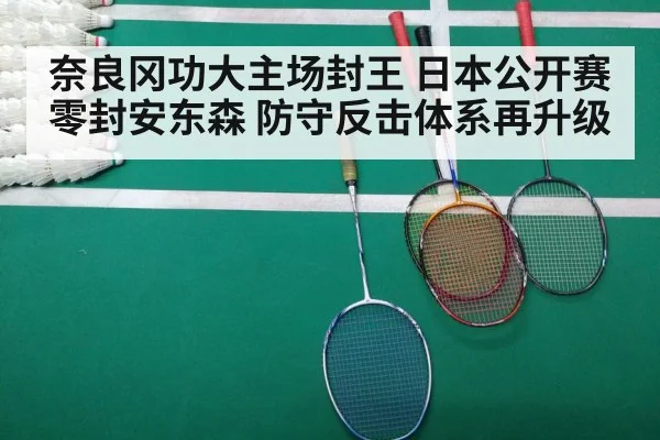 badminton match court